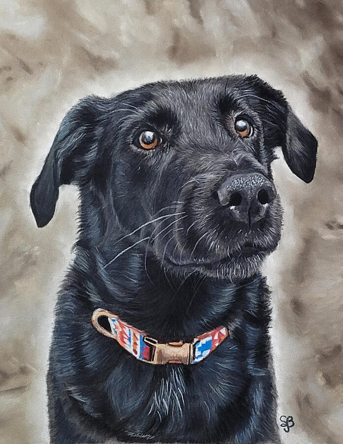 Untitled Mocha, black dog.