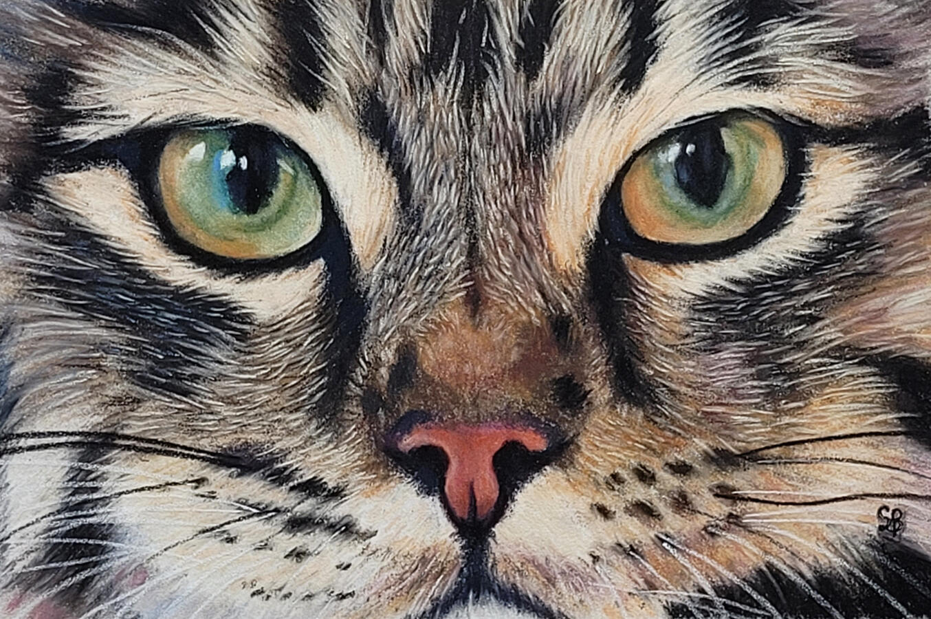 Untitled Close up of a cat's face.