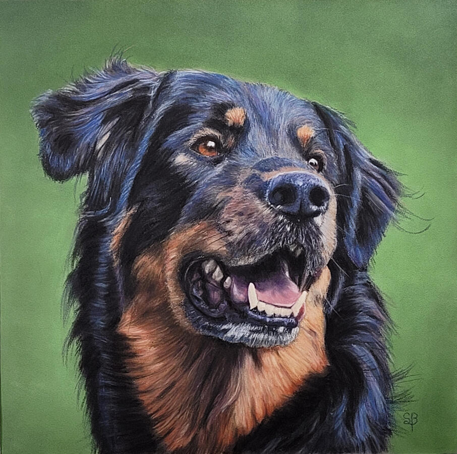 Dog painting is complete.