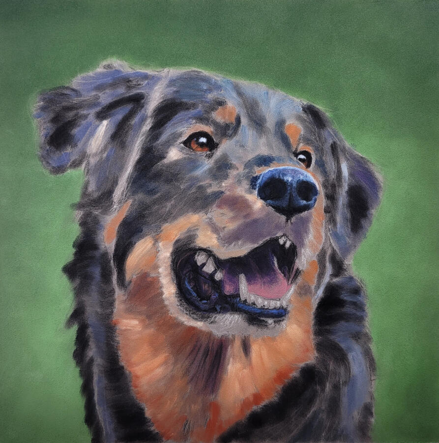 Dog sketch with mouth now underpainted.