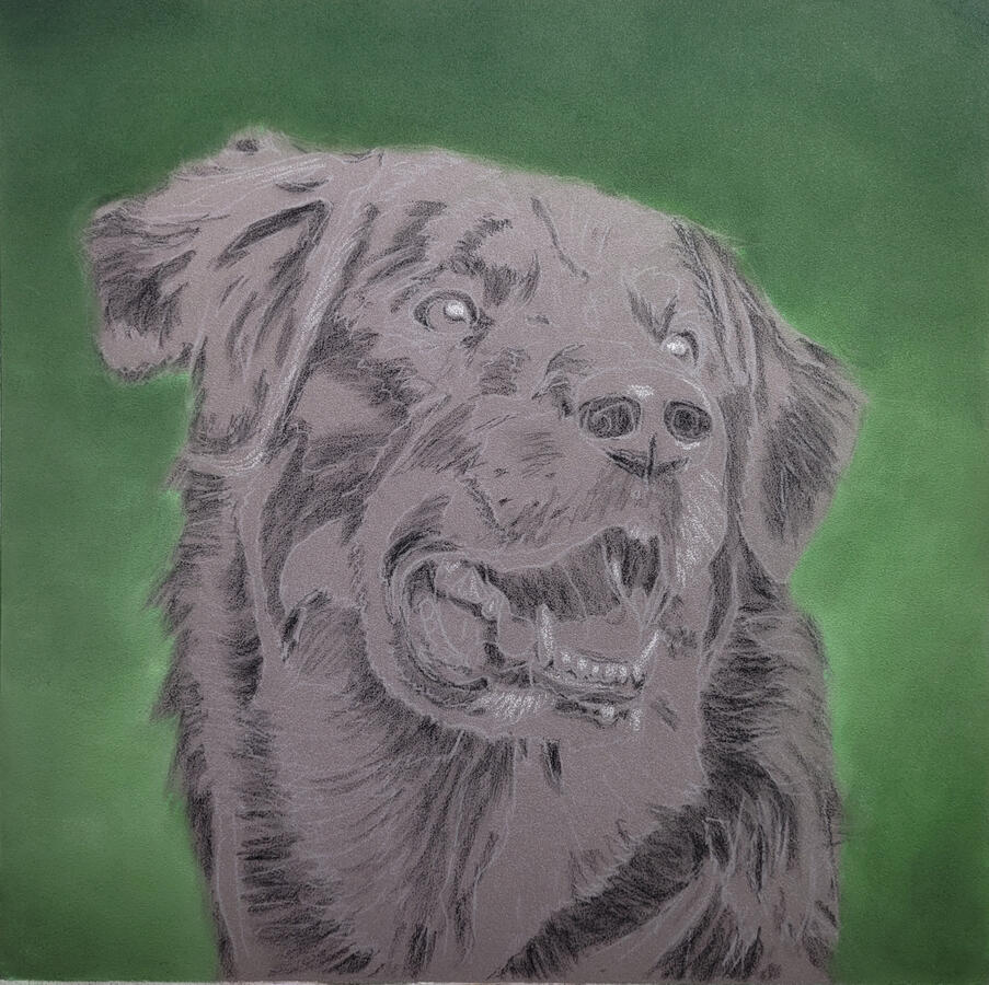 sketch of a dog with background done.