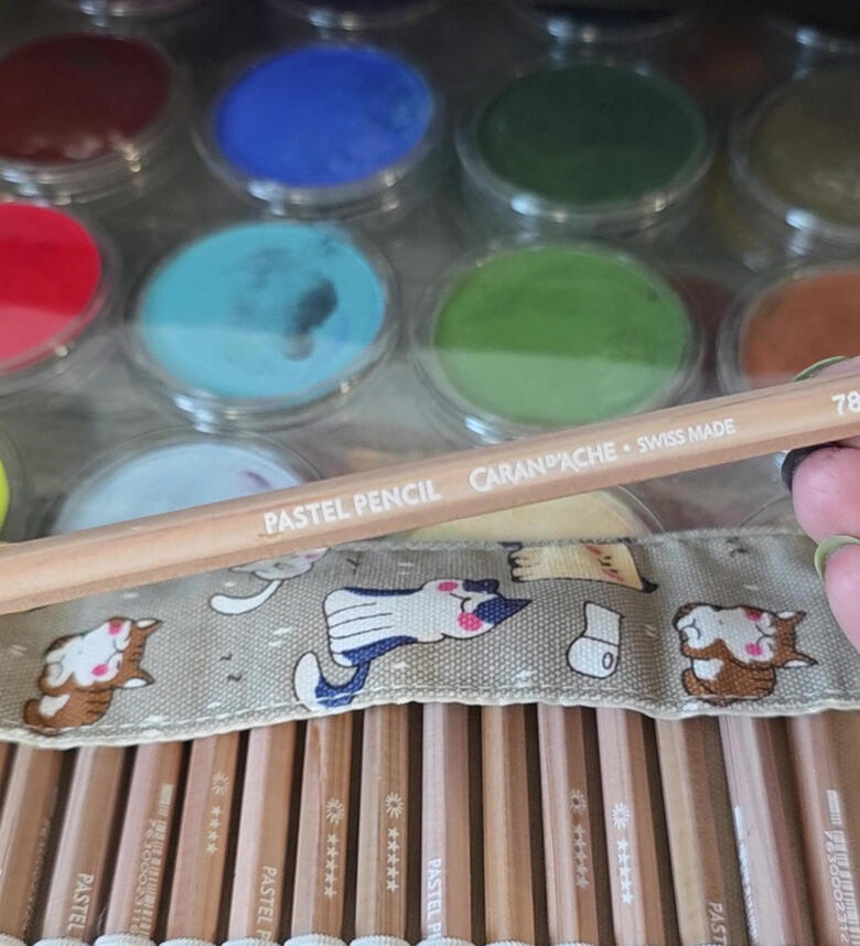 Pan pastels and pencils. Pan pastels and pencils.